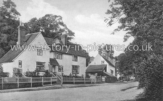 Stortford Road, Dunmow, Essex. c.1905